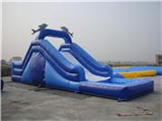 Inflatable Dolphin Water Slide
