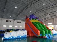 Inflatable Sea Snail Slide Water Parks