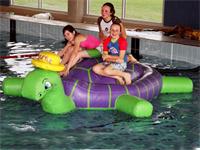 Aqua Run Pool Inflatable Sea Turtle Obstacle Course Water Games