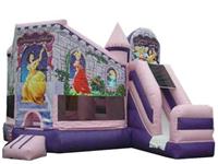 Inflatable Princess Bounce Castle Combo